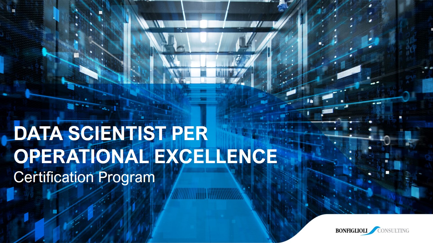 Data Scientist per Operational Excellence Certification Program