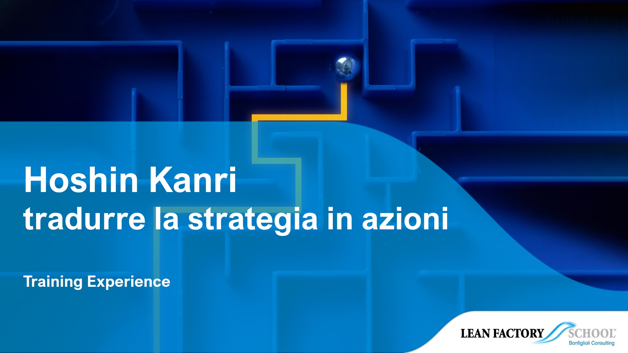 Training Experiences | Hoshin Kanri